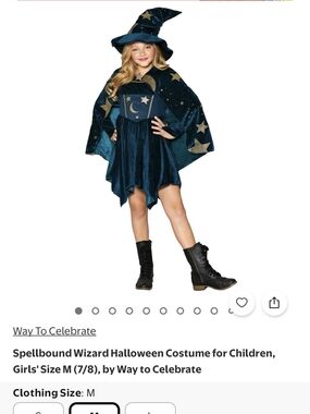 Celebrate It Teal Velvet Star & Moon Wizard Costume